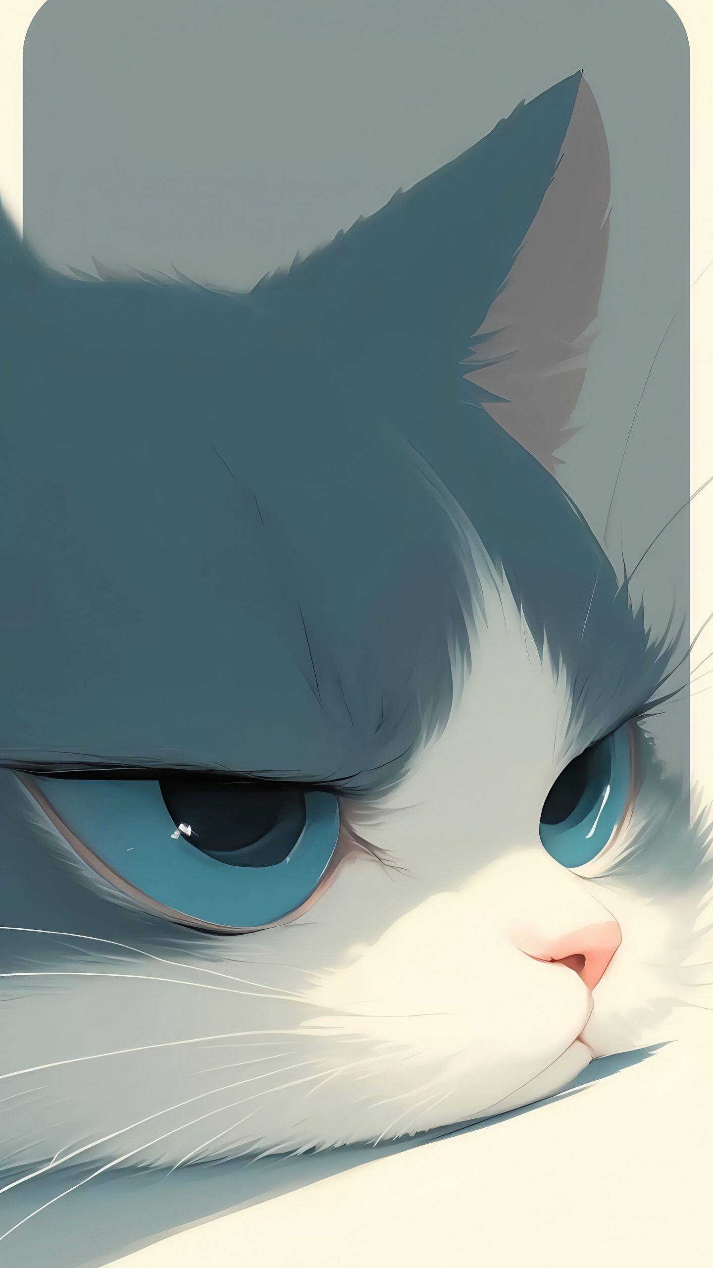 时光芝士-个人博客创造无限价值